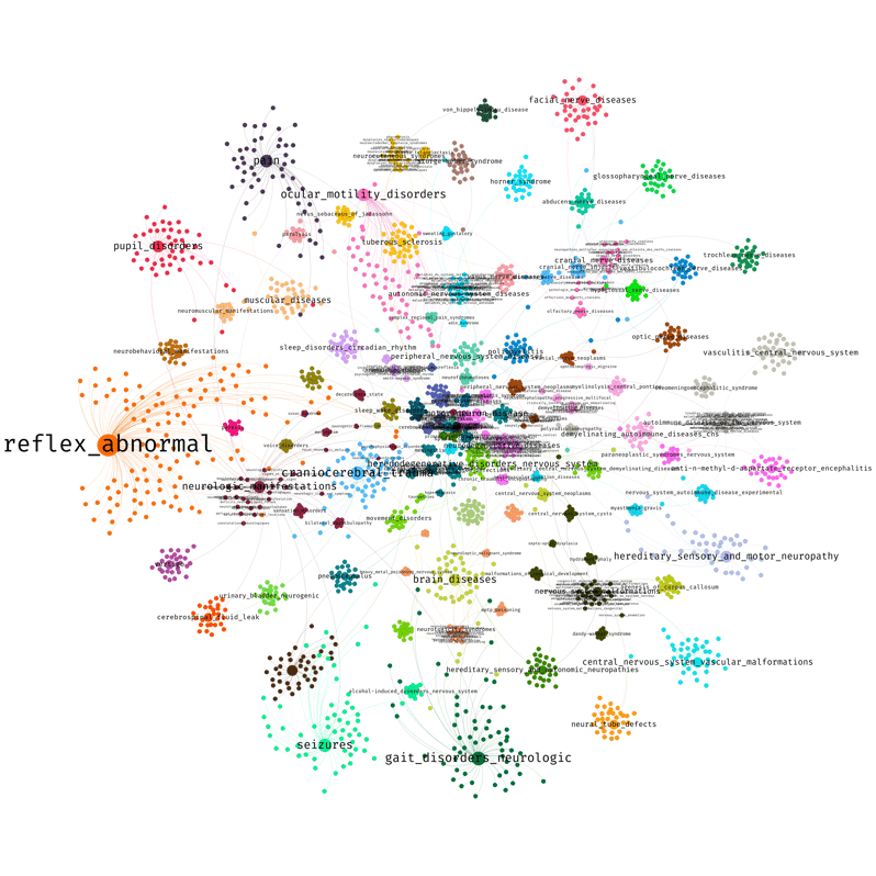 Knowledge graph neurology subset