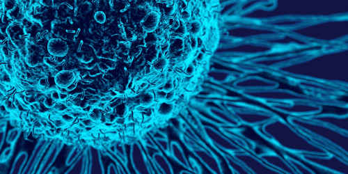 Market research enhanced by 30 oncology KOLs
