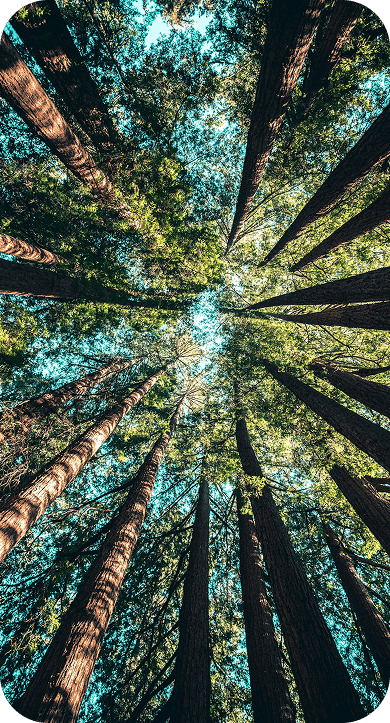 sustainability